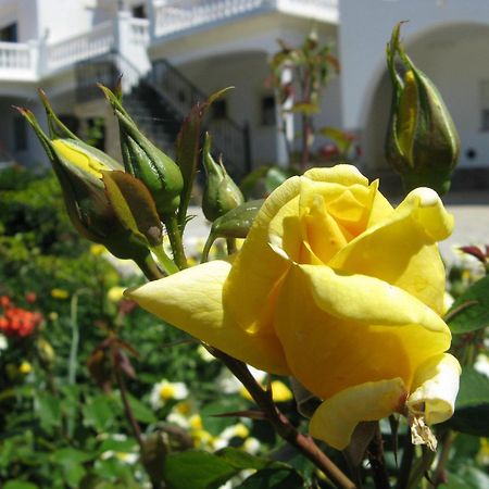 Residencia Quinta Do Poco Guesthouse Sagres Bagian luar foto