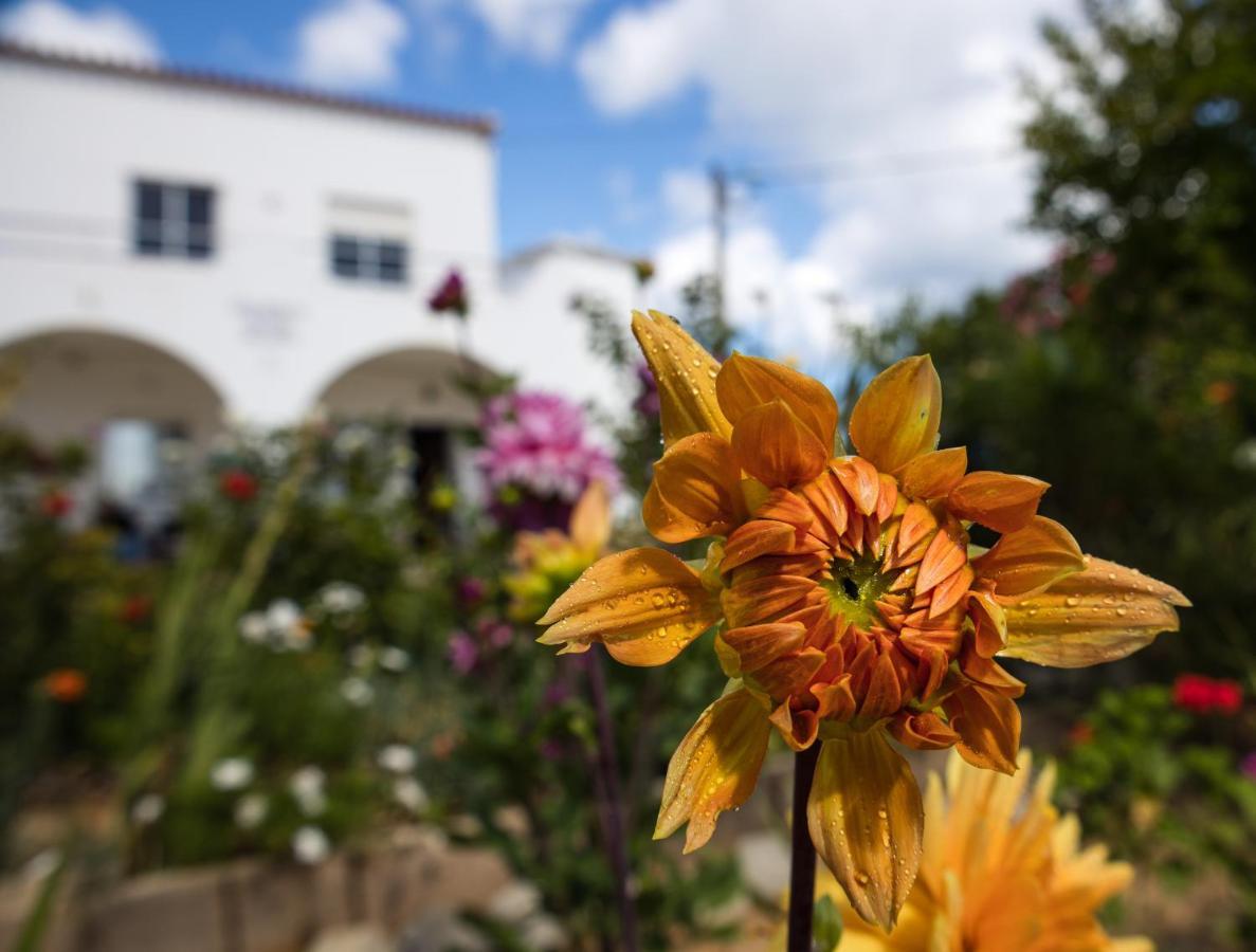 Residencia Quinta Do Poco Guesthouse Sagres Bagian luar foto