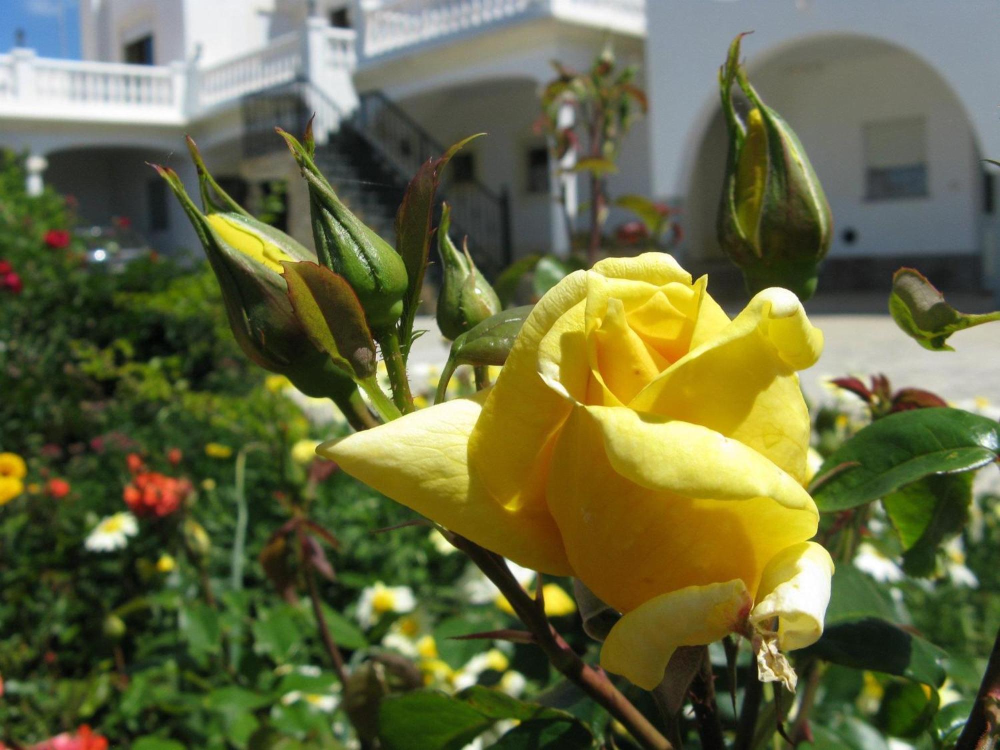 Residencia Quinta Do Poco Guesthouse Sagres Bagian luar foto